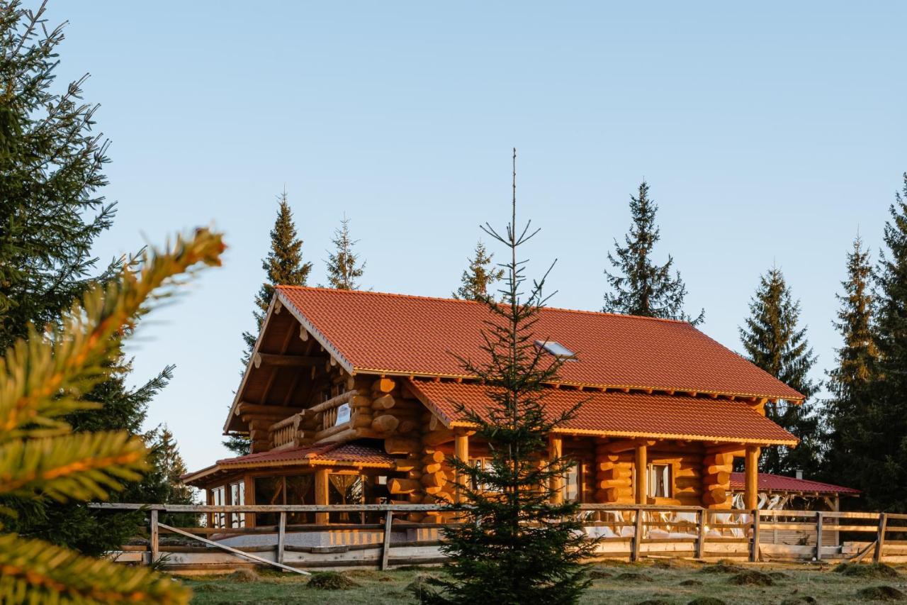 Casa Din Deal Мэришел Экстерьер фото